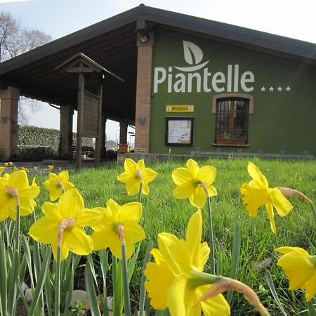 Camping Piantelle Moniga del Garda Εξωτερικό φωτογραφία