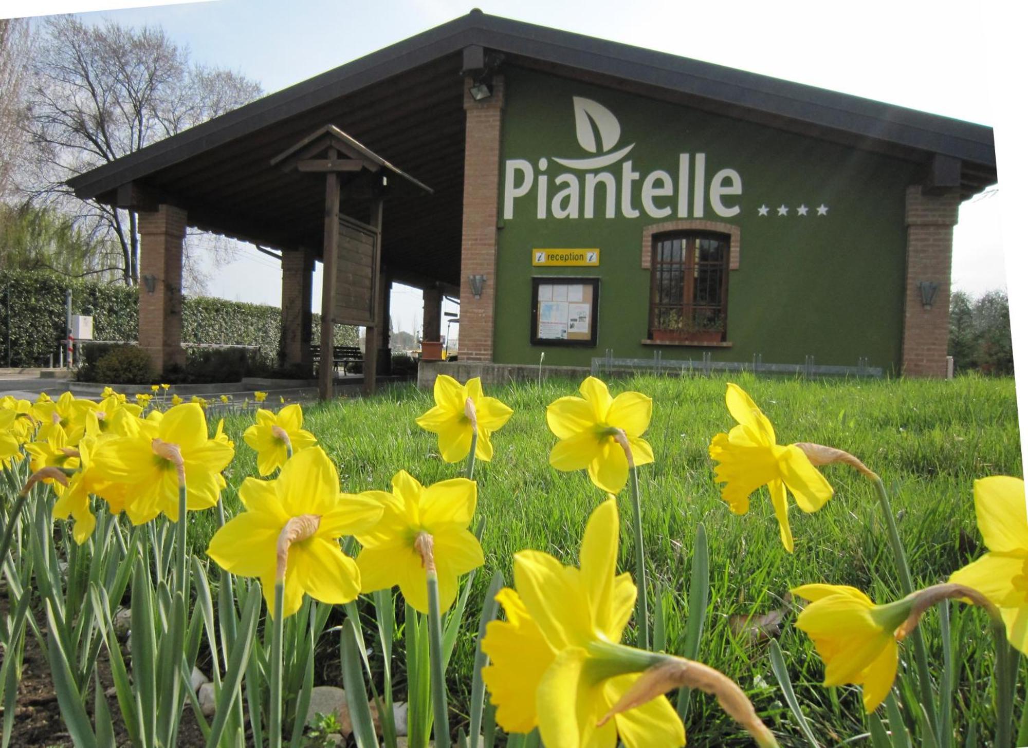 Camping Piantelle Moniga del Garda Εξωτερικό φωτογραφία